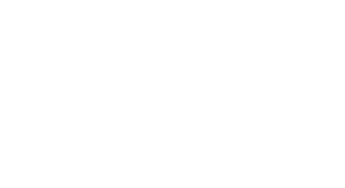 CamteX